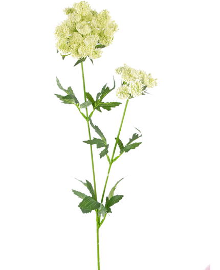 Fleur artificielle Fleur de dentelle 76 cm blanche