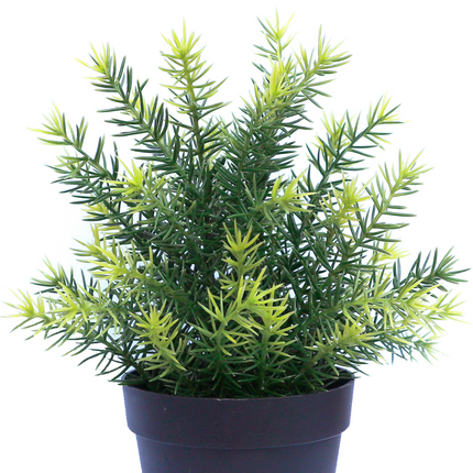 Plante artificielle Asparagus en pot 23 cm UV