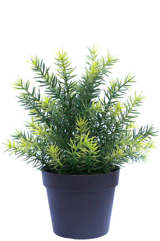 Plante artificielle Asparagus en pot 23 cm UV