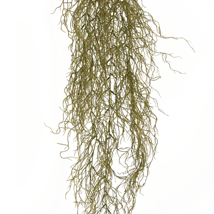 Plante artificielle tombante Sudo 110 cm