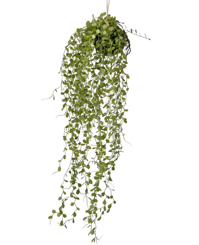 Plante artificielle tombante Lard Ball 58 cm