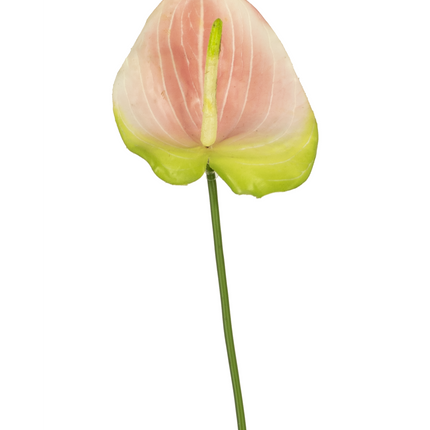 Anthurium artificiel rose 65 cm