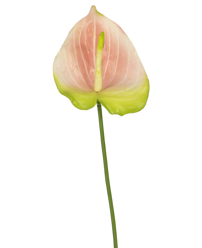 Anthurium artificiel rose 65 cm
