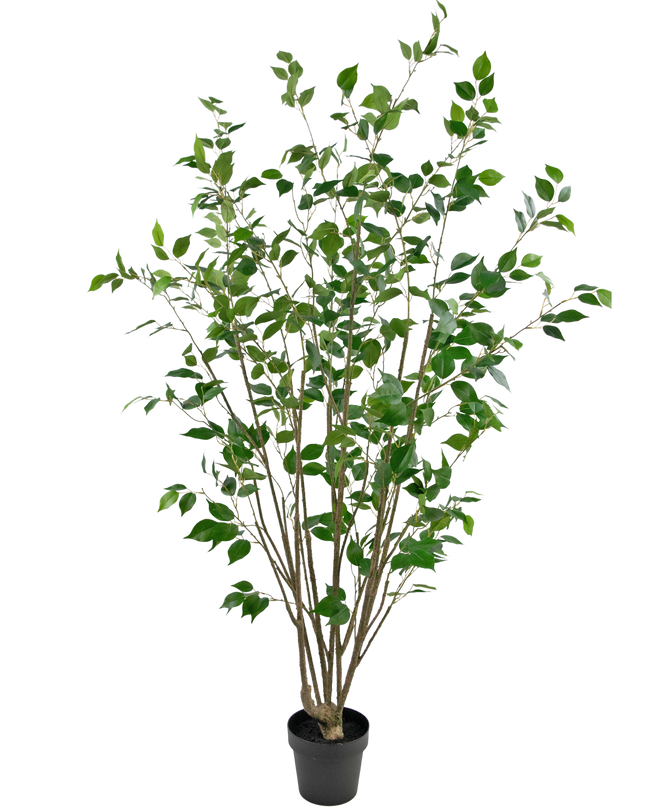 Plante artificielle Ficus 180 cm