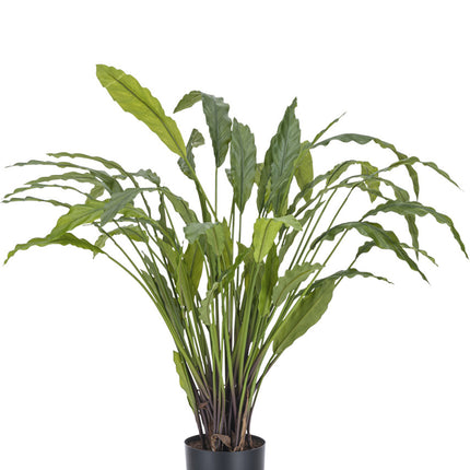 Plante artificielle Calathea 80 cm