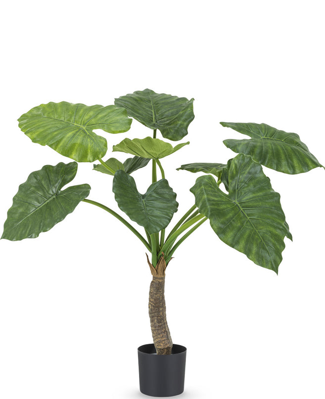 Plante artificielle Alocasia 80 cm