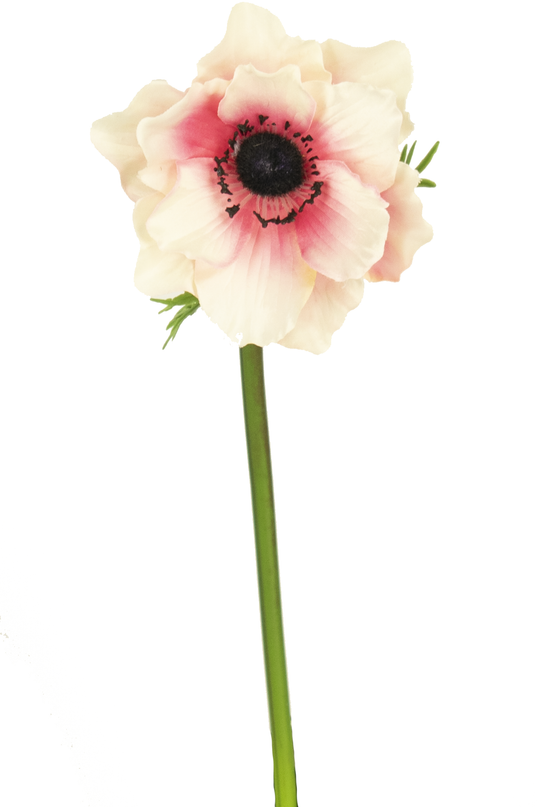Fleur artificielle Anémone blanc/rose 43 cm