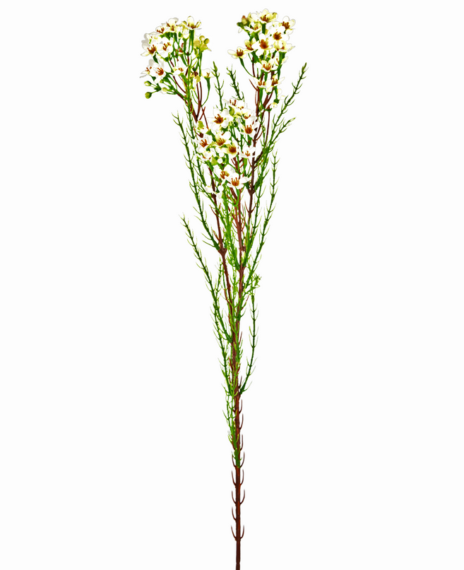 Branche artificielle Waxflower crème 78 cm
