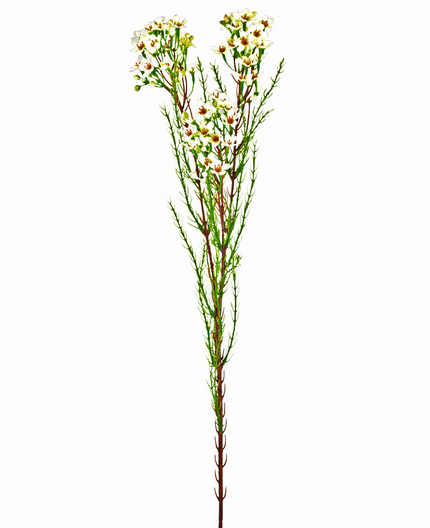 Branche artificielle Waxflower crème 78 cm