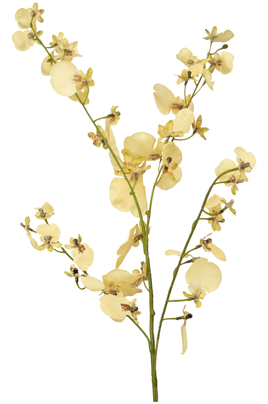 Branche artificielle Orchidée beige 80 cm