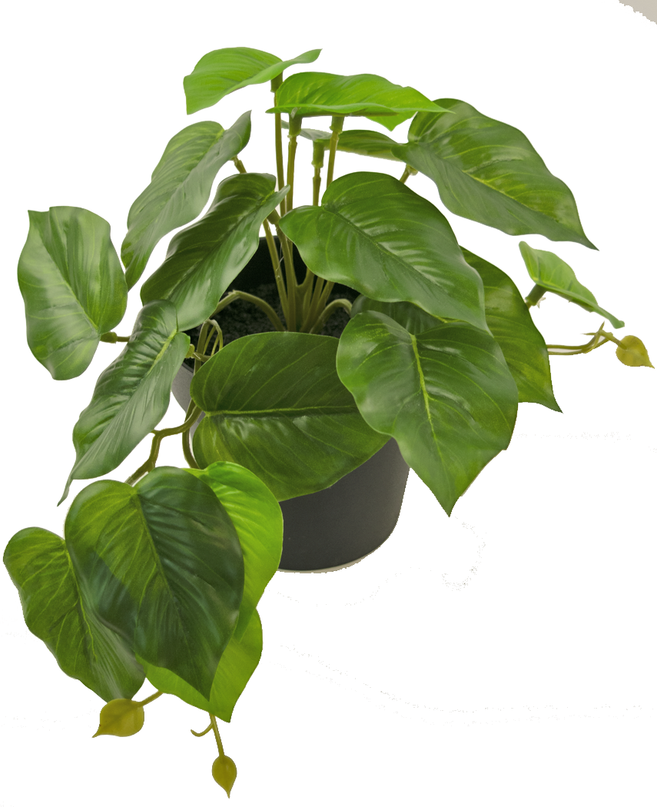 Plante artificielle Scindapsus 25 cm