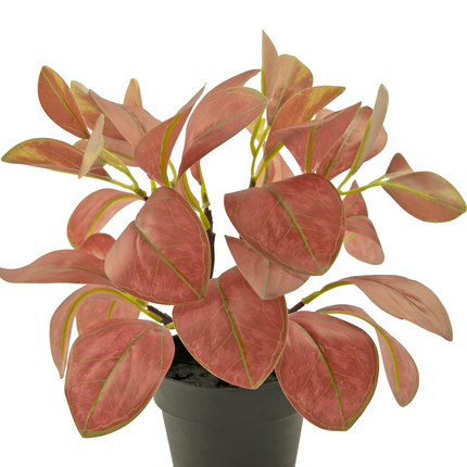 Plante artificielle Rohdea 28 cm rouge