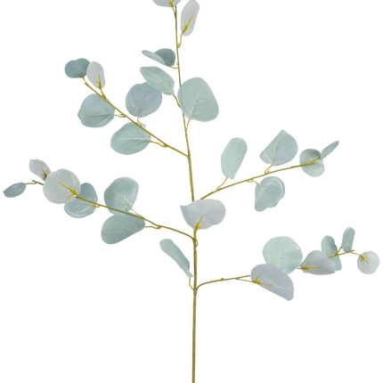 Branche d'eucalyptus artificielle 84 cm