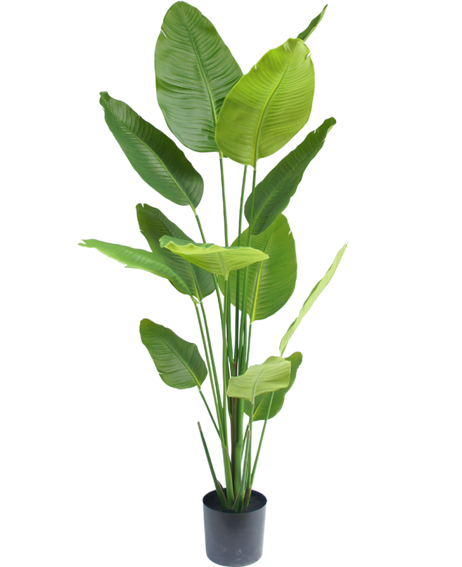 Plante artificielle Strelitzia 180 cm real touch