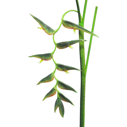 Fleur artificielle Heliconia Ecosia 128 cm vert