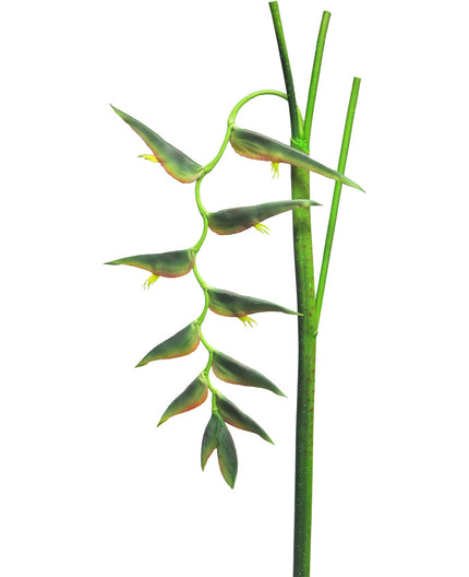 Fleur artificielle Heliconia Ecosia 128 cm vert