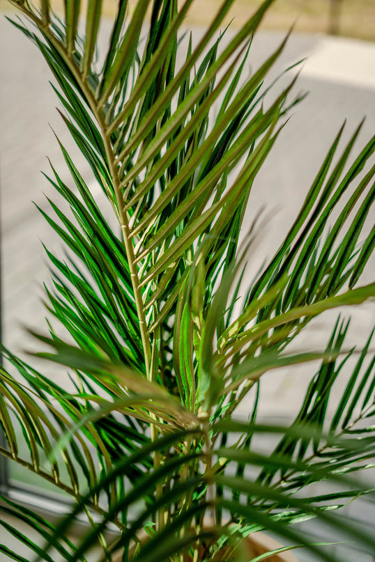 Palmier artificiel Areca 150 cm