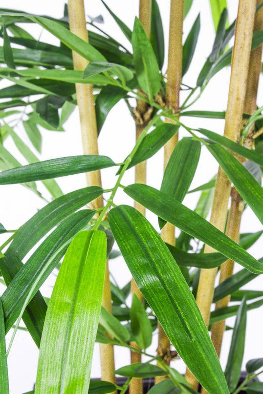 Plante artificielle Bambou 300 cm ignifugée