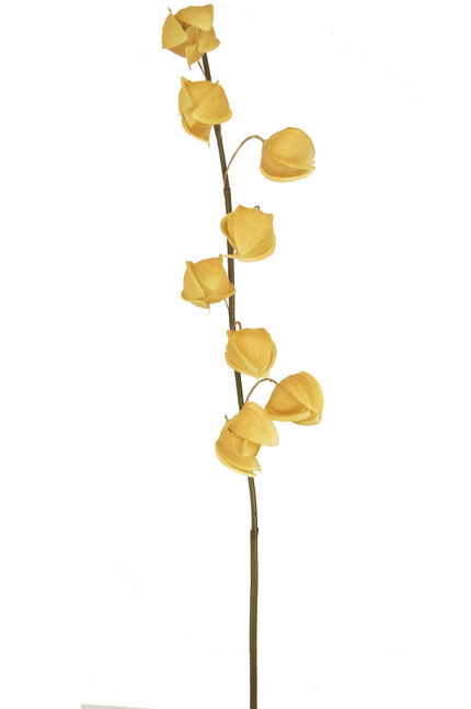 Fleur artificielle Physalis lampion 90 cm marron
