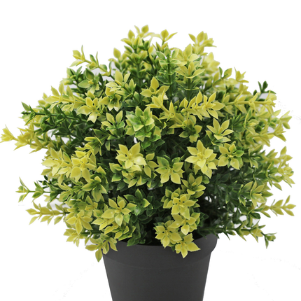 Plante artificielle Buxus jaune 22 cm UV