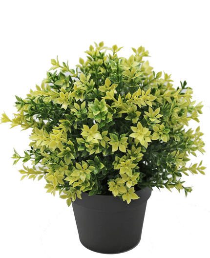 Plante artificielle Buxus jaune 22 cm UV