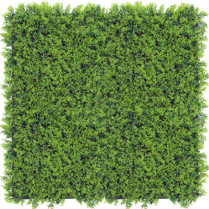 Mur végétal artificiel Buis Cupressus 50x50 cm UV