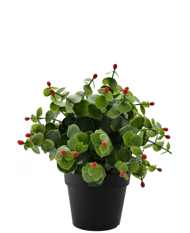 Plante artificielle Eucalyptus rouge en pot 22 cm UV
