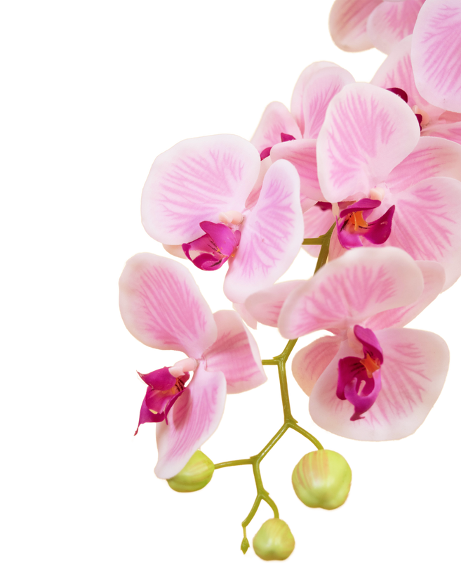 Orchidée artificielle 58 cm blanche
