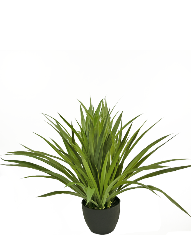 Plante de lard artificielle 40 cm en pot décoratif noir