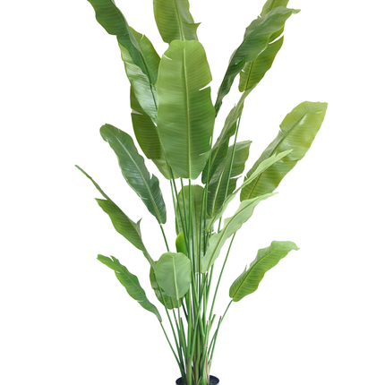 Plante artificielle Strelitzia Nicolai Deluxe 215 cm