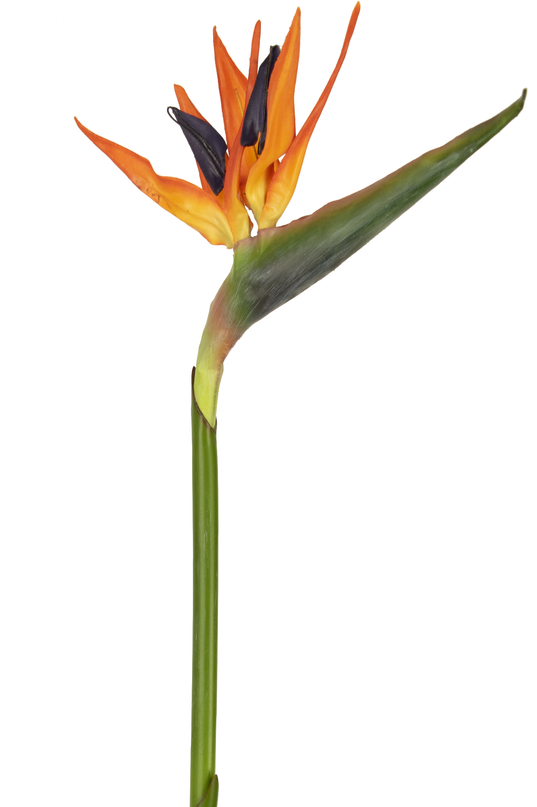 Fleur artificielle Strelitzia 80 cm rouge/mauve