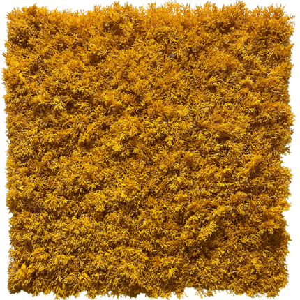 Mur végétal artificiel Mousse jaune ignifugée 50x50cm