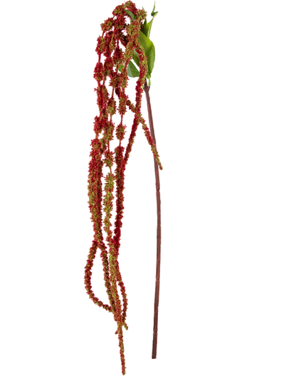 Fleur artificielle Amaranthus rouge vin 122 cm