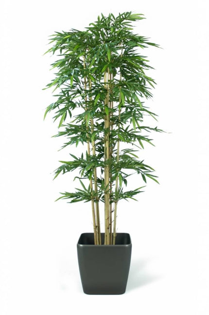 Plante artificielle Bambou 300 cm ignifugée