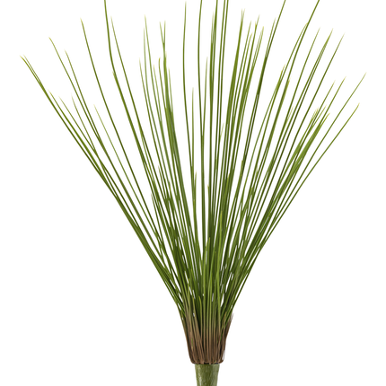 Gazon artificiel Royal Grass 60 cm