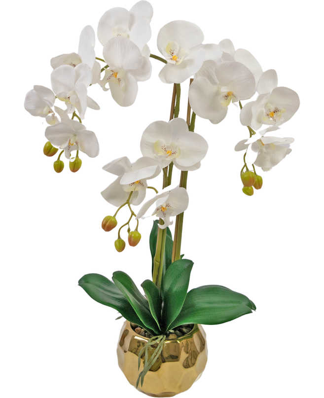 Orchidée artificielle 52 cm blanche dans un pot en or