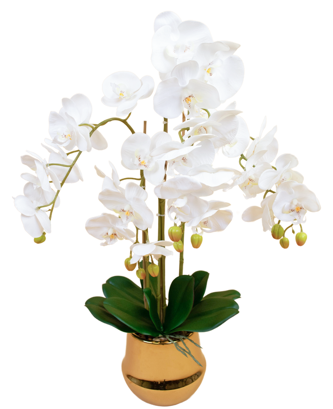 Orchidée artificielle 72 cm blanche dans un pot en or