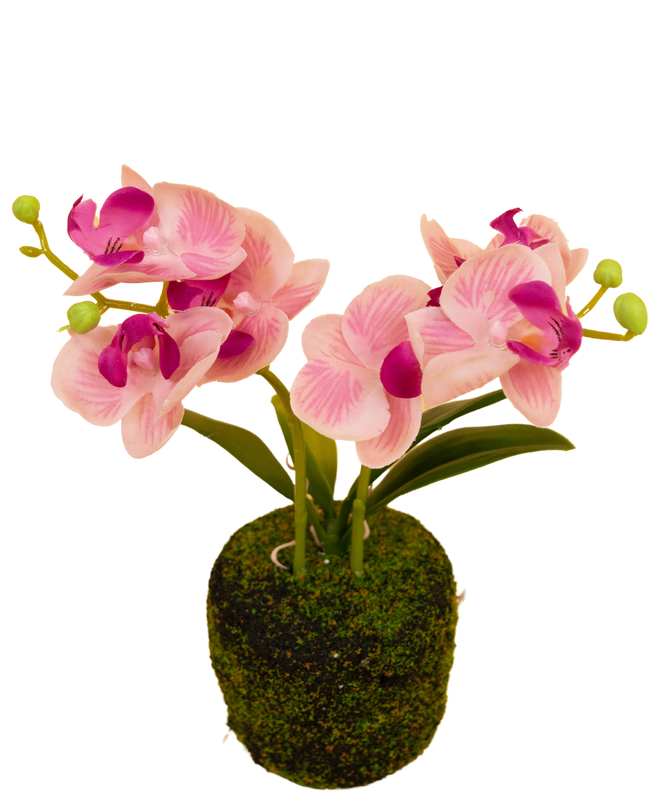 Orchidée artificielle 32 cm blanche