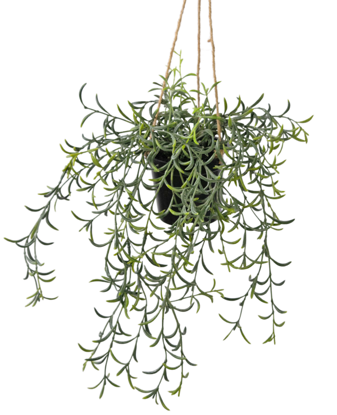 Plante artificielle tombante Senecio avec pot 35 cm