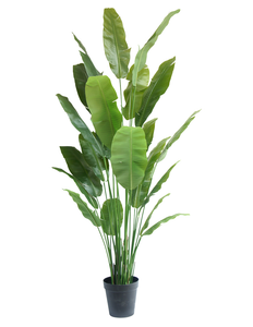 Plante artificielle Strelitzia Nicolai Deluxe 235 cm