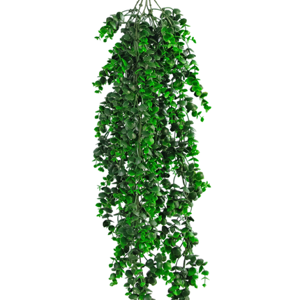 Plante artificielle suspendue Eucalyptus 80 cm UV