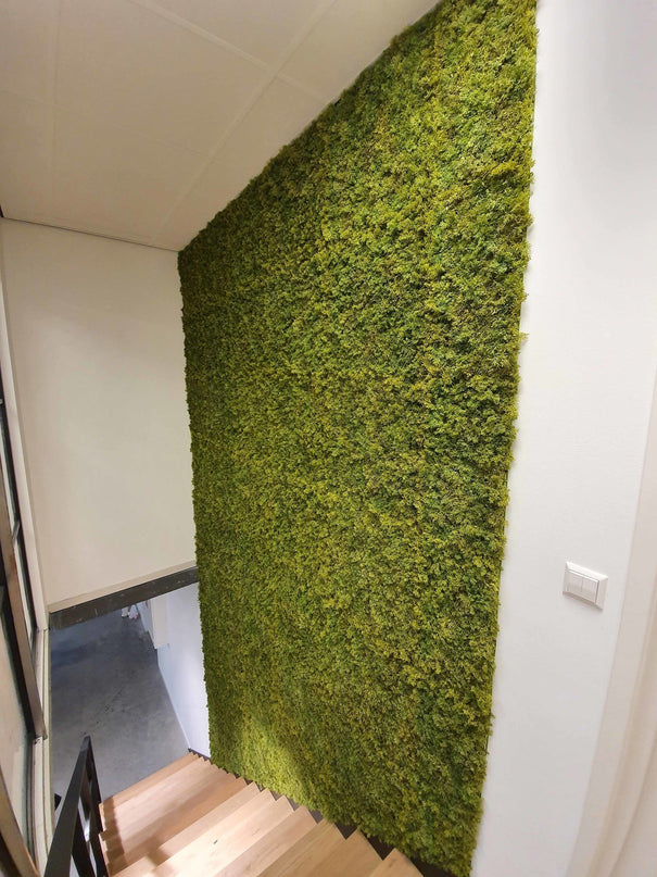 Mur végétal artificiel Mousse Nordique 50x50 cm UV