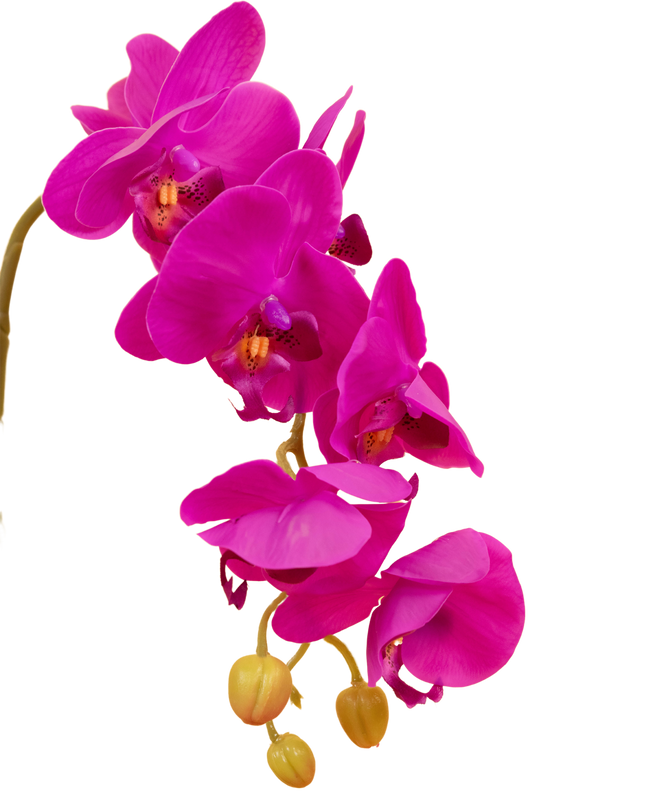 Orchidée artificielle 56cm rose dans un pot en or