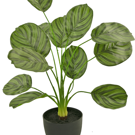 Calathea artificiel vert foncé dans un pot décoratif noir 58 cm