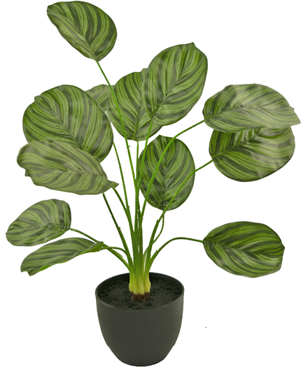 Calathea artificiel vert foncé dans un pot décoratif noir 58 cm