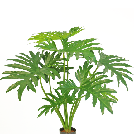 Plante artificielle Philodendron 80 cm