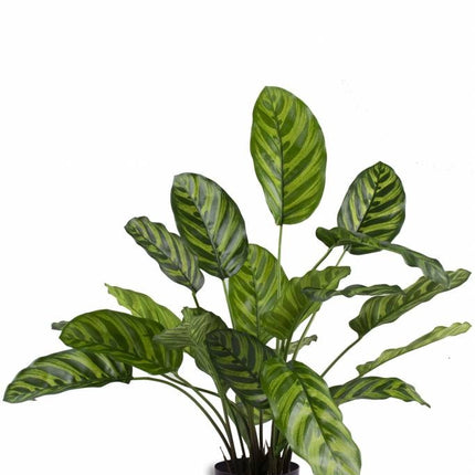 Plante artificielle Calathea Makoyana 60 cm