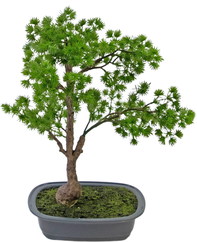 Plante artificielle Bonsai Juniper 40 cm