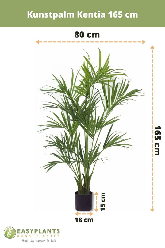Palmier artificiel Kentia 165 cm