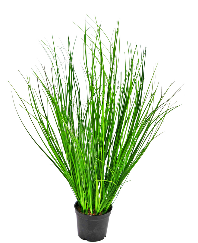 Plante de gazon artificiel Oignon 58 cm